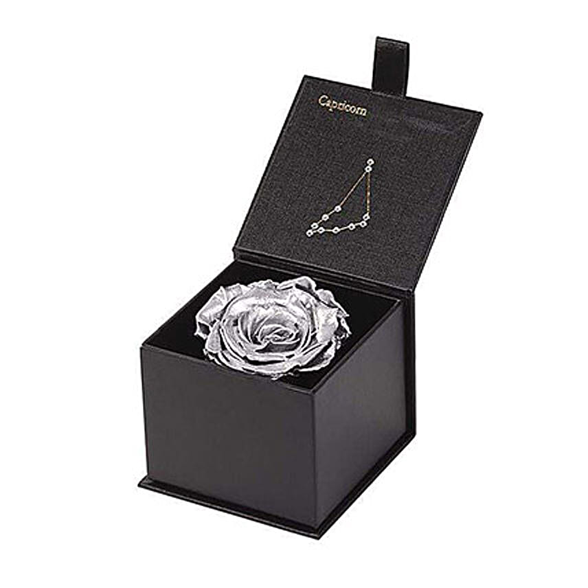 Eternal Rose Capricorn Box Silver