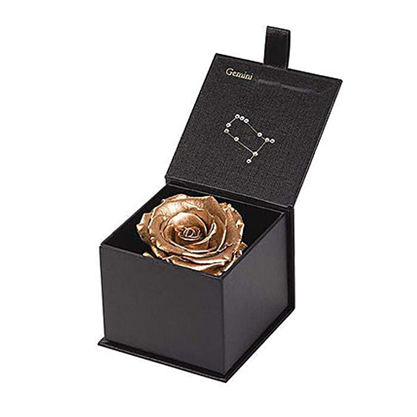 Eternal Rose Gemini Box Gold