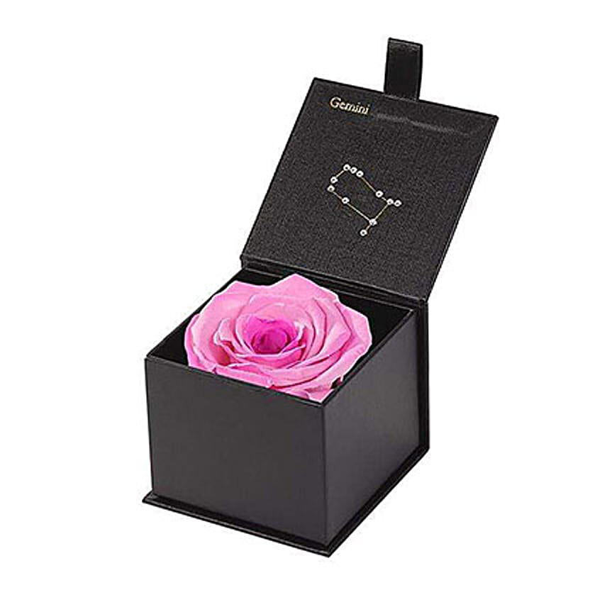 Eternal Rose Gemini Box Pink