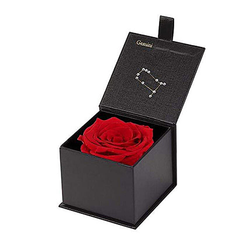 Eternal Rose Gemini Box Red