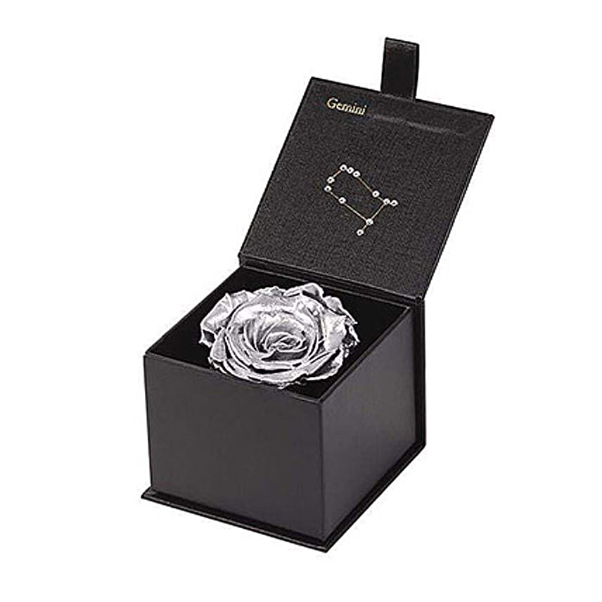 Eternal Rose Gemini Box Silver