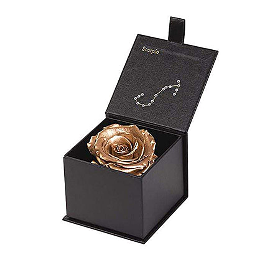 Eternal Rose Scorpio Box Gold
