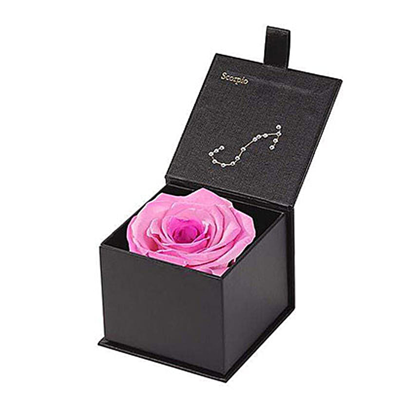 Eternal Rose Scorpio Box Pink