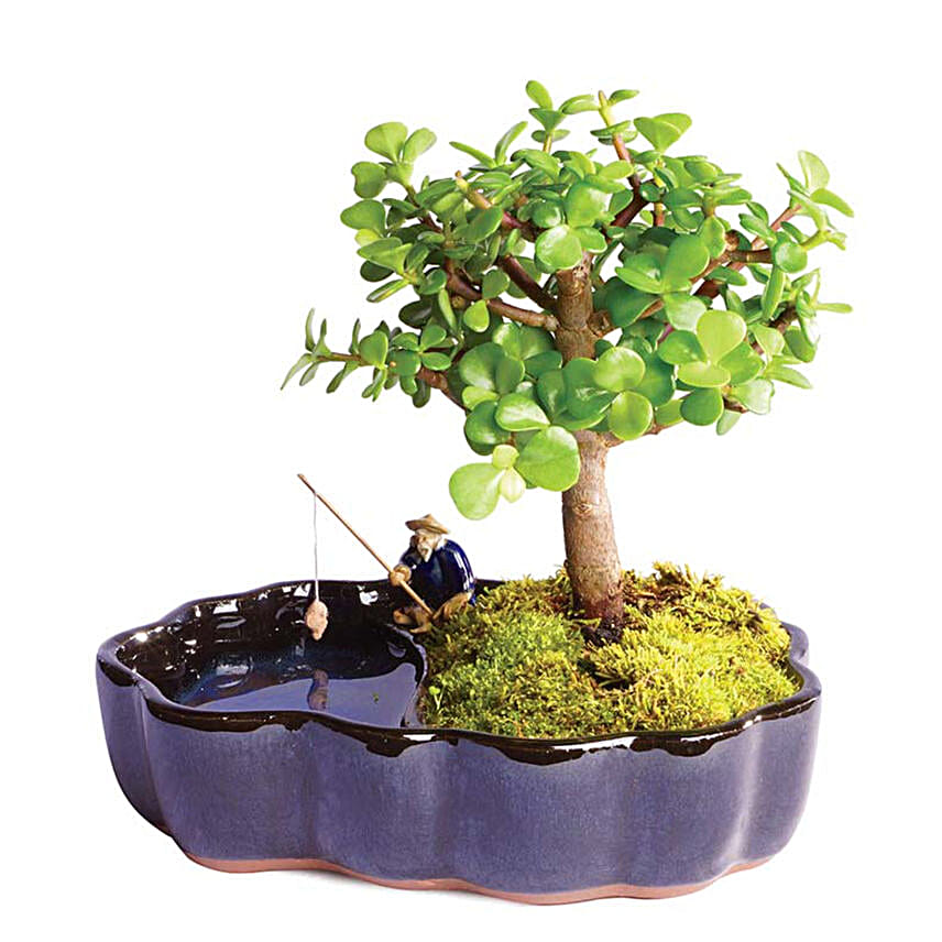 Gone Fishing Jade Bonsai