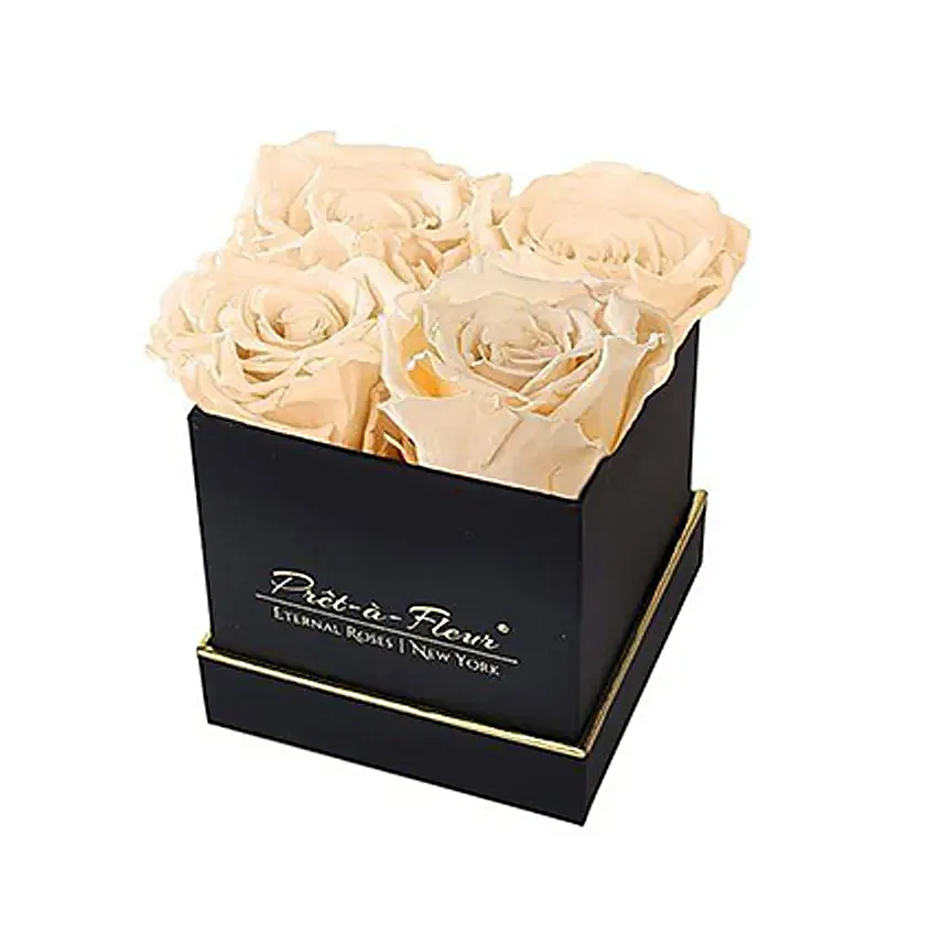 Lennox Eternal Rose Black Gift Box Cream
