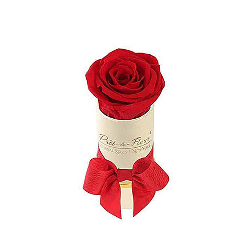 Liberty Eternal Rose Cream Gift Box Red