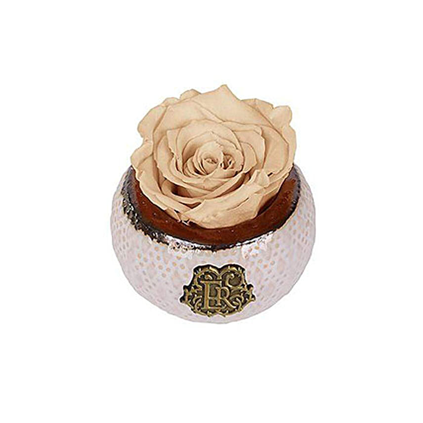 Mini Soho Eternal Luxury Rose Cream
