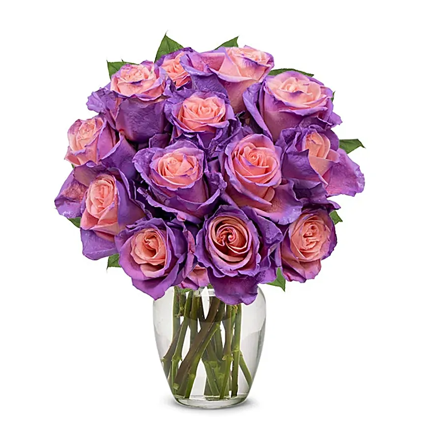 One Dozen Blushing Lavender Roses