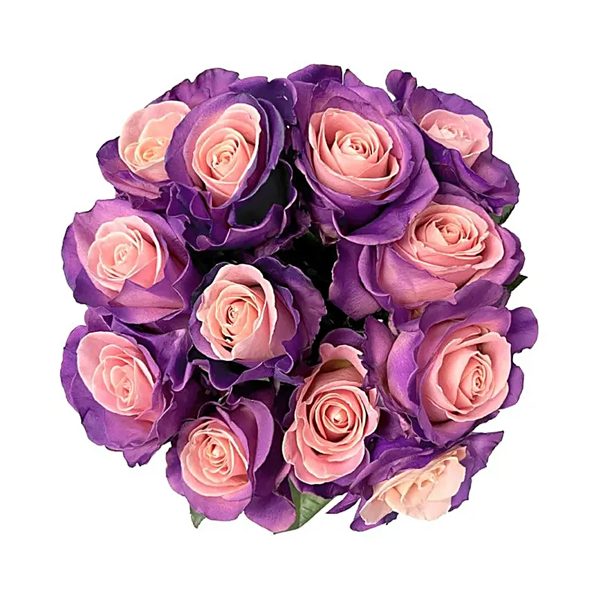 One Dozen Blushing Lavender Roses