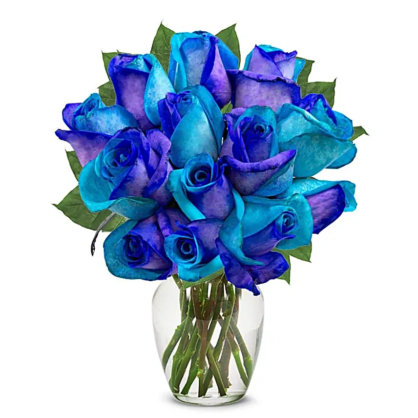 One Dozen Ocean Blue Roses