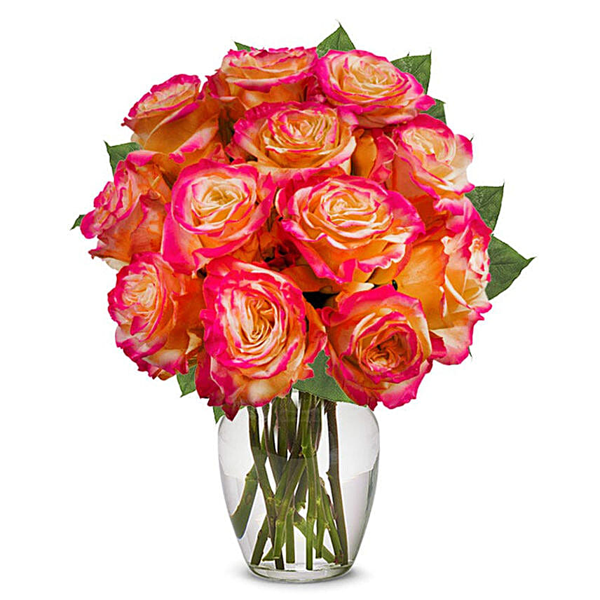 One Dozen Pop of Pink Roses
