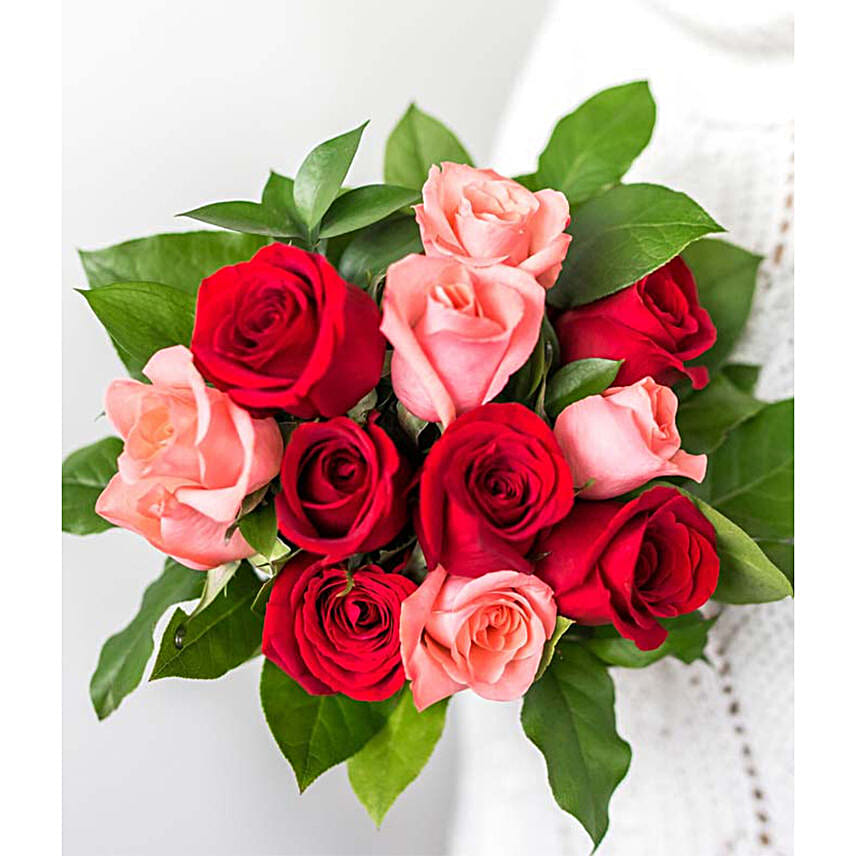 One Dozen Red and Pink Roses with Chocolates and a Bear