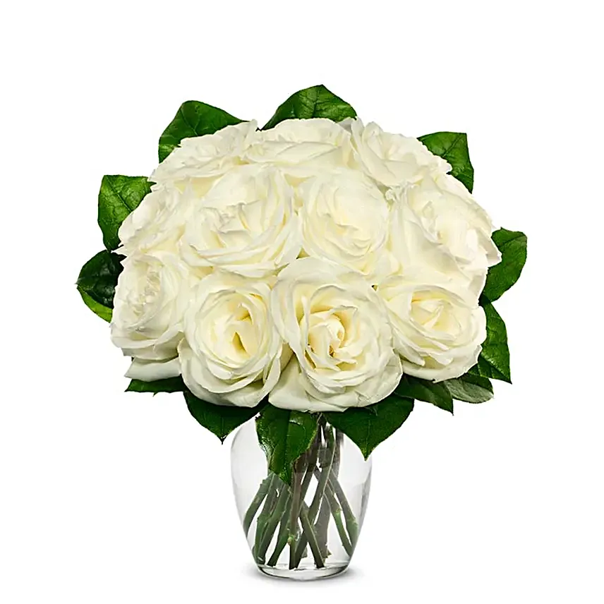 One Dozen White Roses