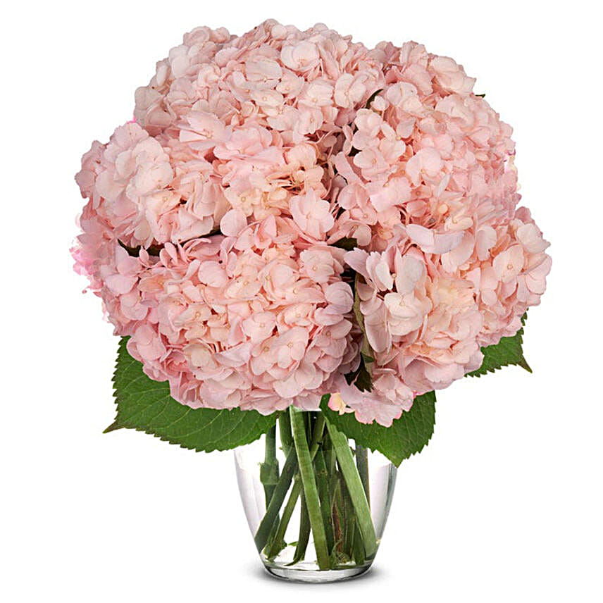 Pink Hydrangea Bouquet