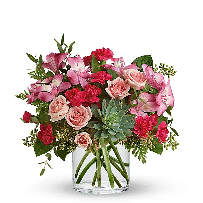 Pink Rose Succulent Garden Regular