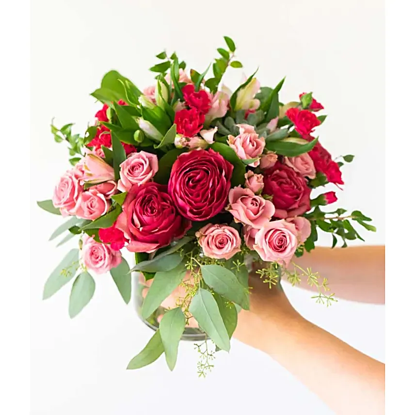 Pink Rose Succulent Garden Regular
