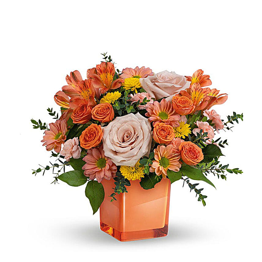 Pretty in Coral Regular