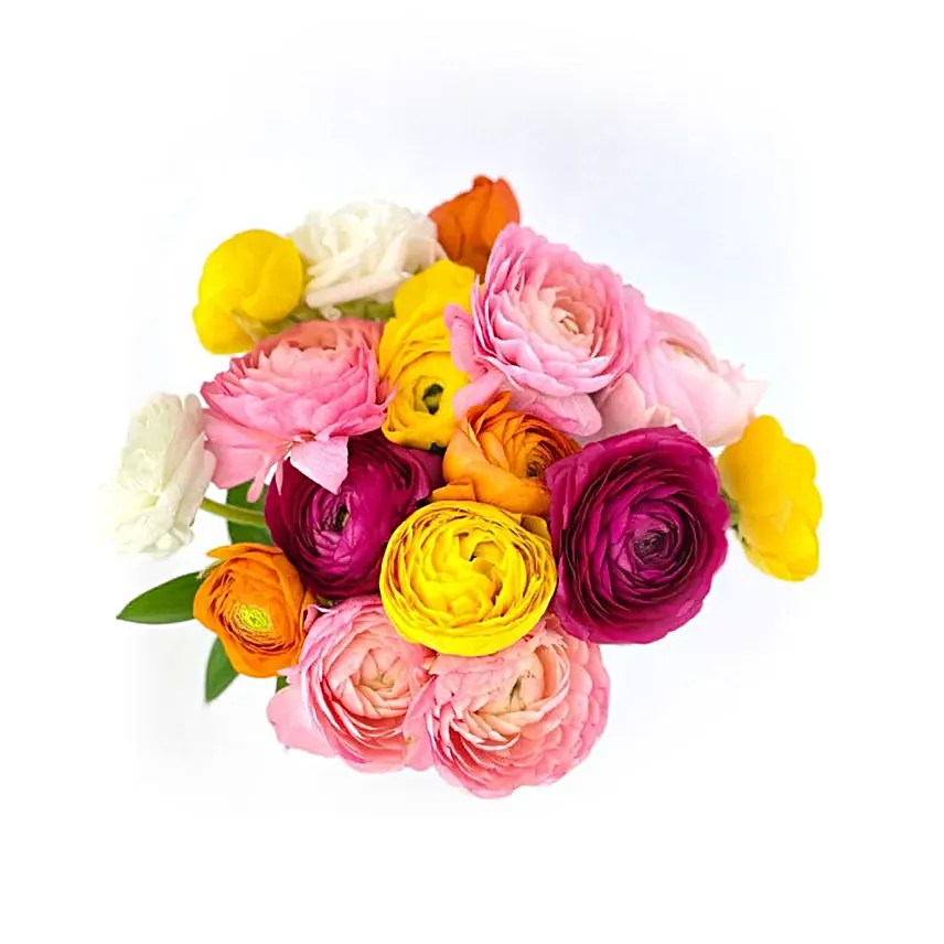 Rainbow Ranunculus