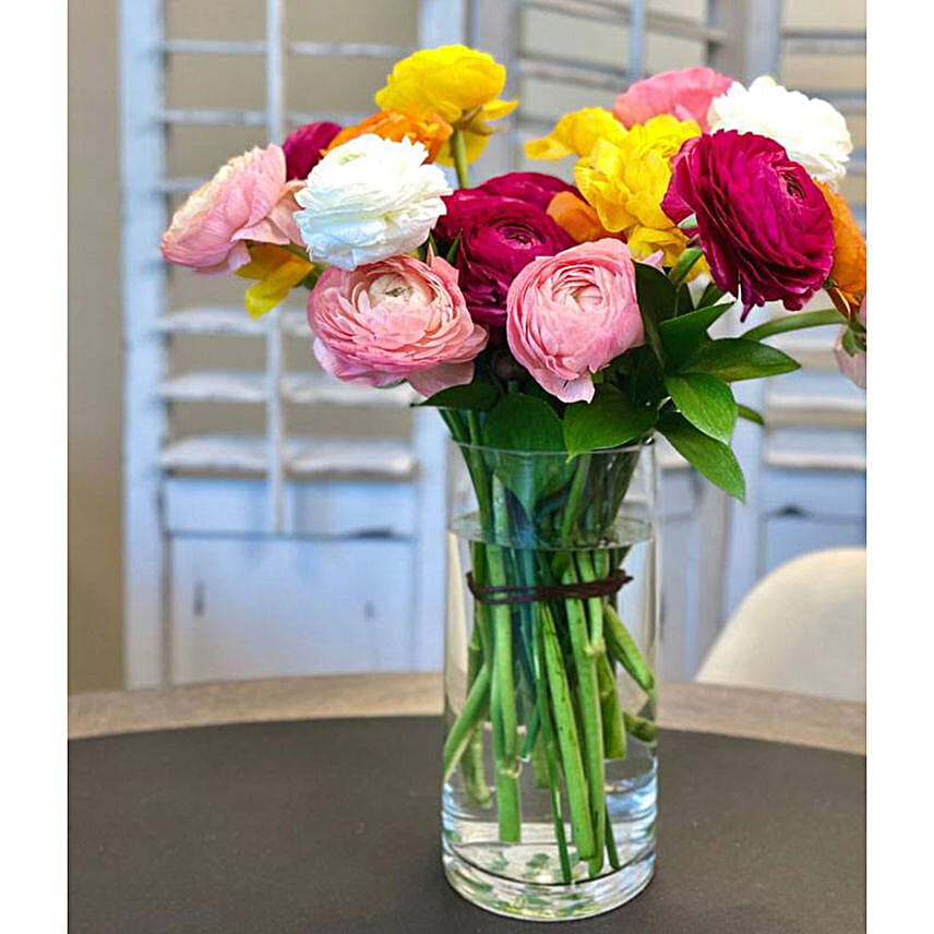 Rainbow Ranunculus