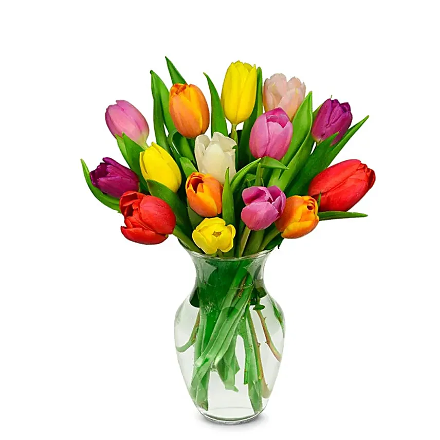 Rainbow Tulip Bouquet 15 Stems