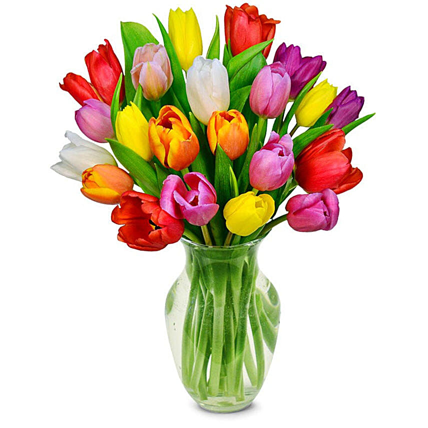 Rainbow Tulip Bouquet 20 Stems