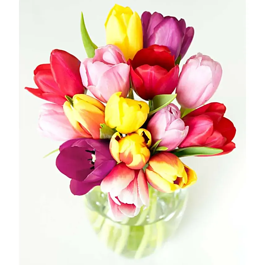 Rainbow Tulip Bouquet 20 Stems
