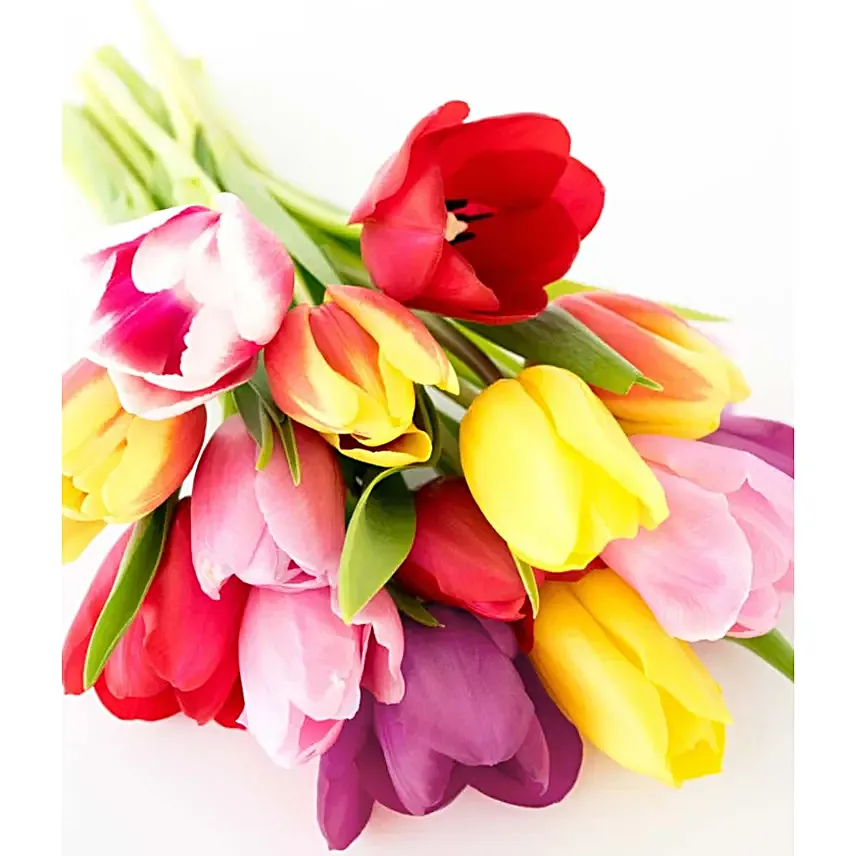 Rainbow Tulip Bouquet 20 Stems