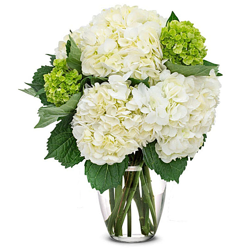 White and Mini Green Hydrangea Bouquet