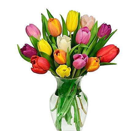 Colourful Tulips 15 Stems:Send Tulip Flowers to USA