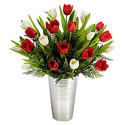 Red And White Tulips Beauty:Send Tulip Flowers to USA