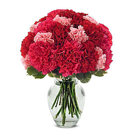Mesmerising Carnations Vase Arrangement:Carnations