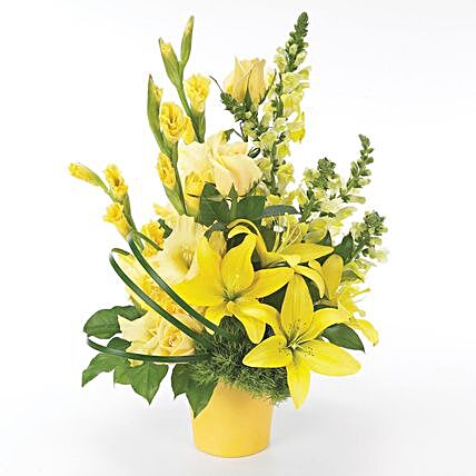 Beautiful Assorted Carnations Vase Arrangement