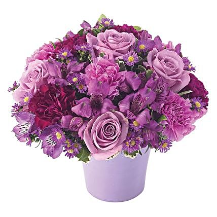 Exquisite Assorted Flowers Pot Arrangement