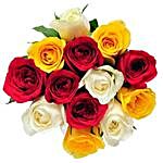 12 Mix Color Roses