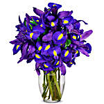 Stunning Blue Iris 10 Stems