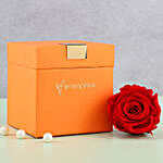 Timeless Forever Red Rose in Orange Box
