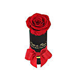 Liberty Eternal Rose Black Gift Box Red