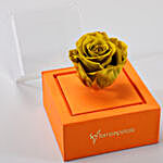 Olive Forever Rose In Orange Box