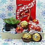 New Year Chocolate And Plant Gift