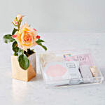 Special Rosa Faux Flowers And Spa Hamper
