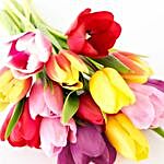 Colourful Tulips 15 Stems