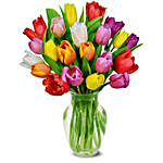 Rainbow Tulip Bouquet 20 Stems