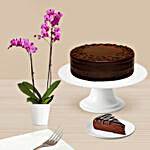 Chocolate Cake & Orchid