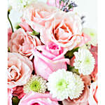 Cotton Candy_Regular