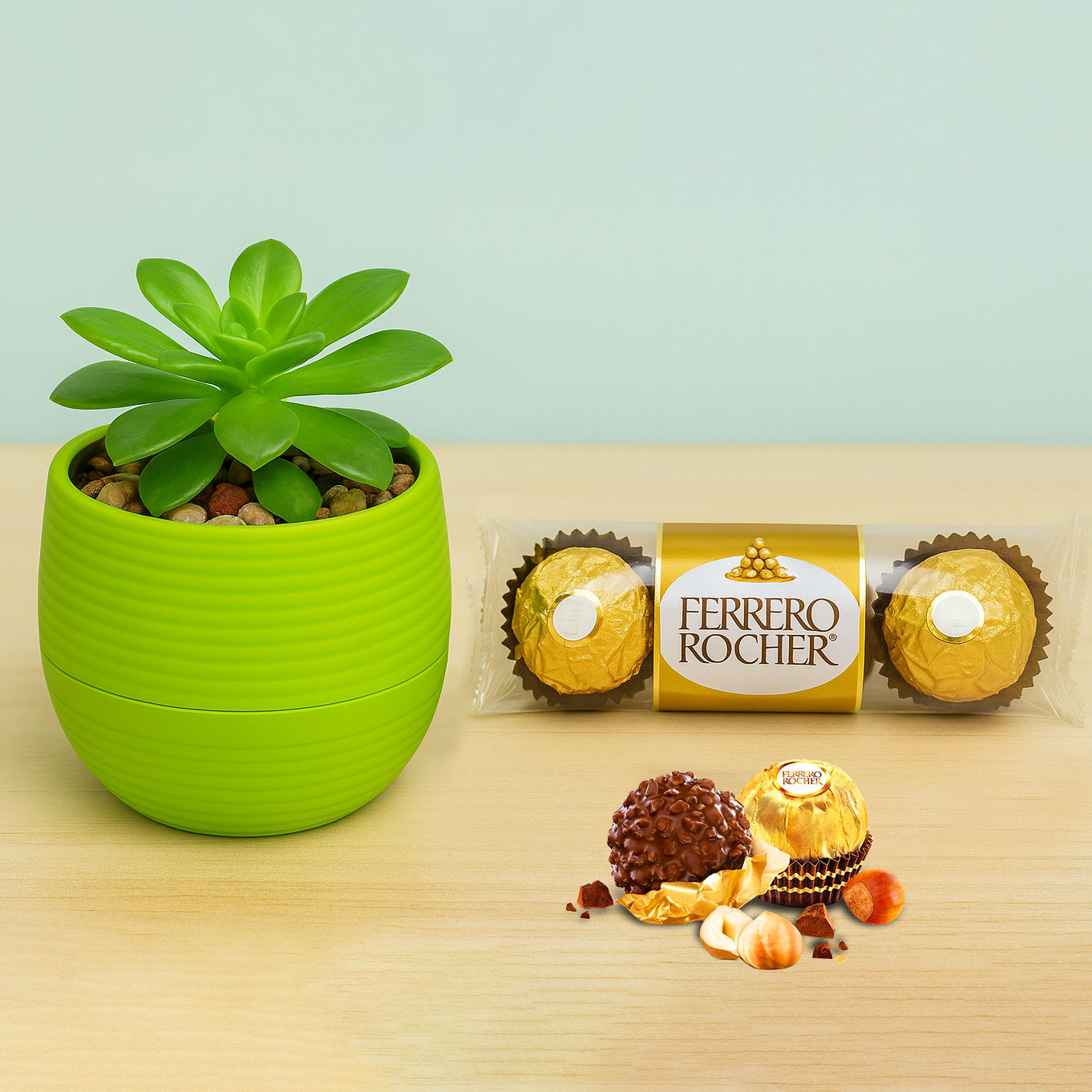 Kiwi Succulent N Ferrero Rocher usa | Gift Kiwi Succulent N Ferrero Rocher-  FNP