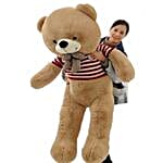 Wow Giant Teddy