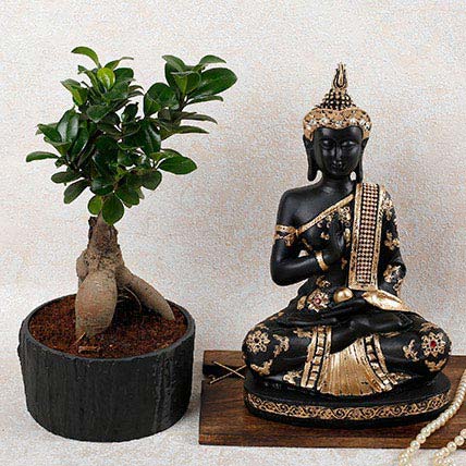 Buy/Send Lord Buddha N Ficus Microcarpa Bonsai Plant Online- FNP