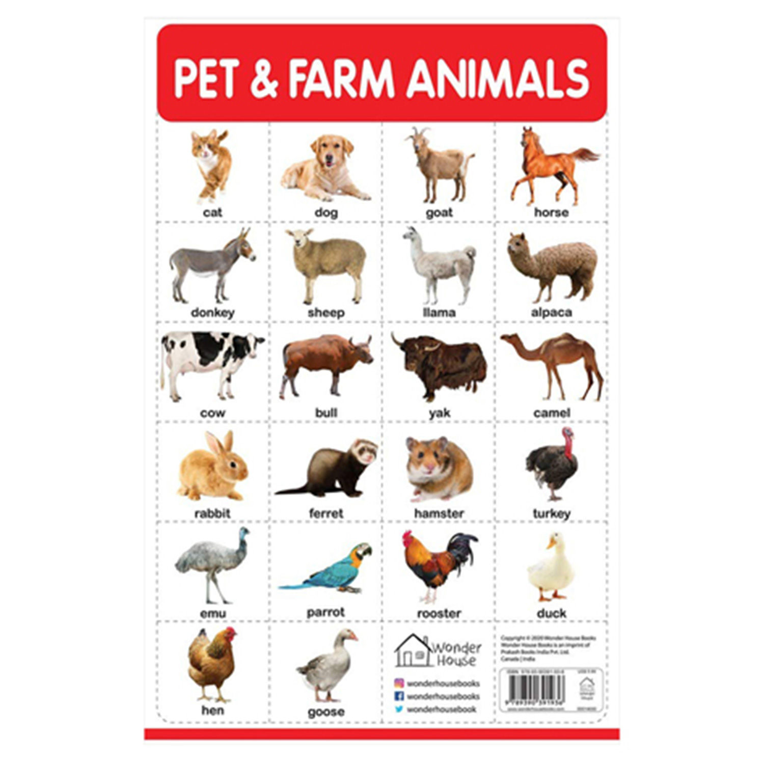 Buy/Send My First Early Learning Educational Poster- Pet & Farm Animals Online- FNP Buy/Send My First Early Learning Educational Poster- Pet & Farm Animals Online- FNP