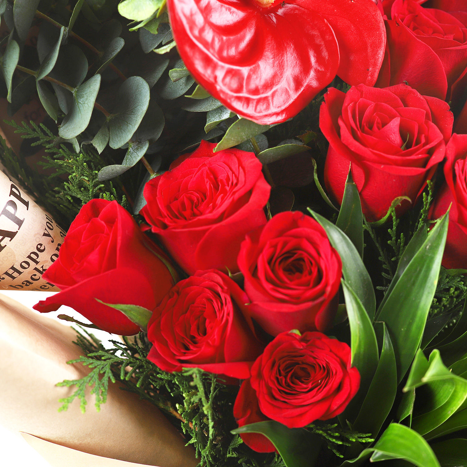 Buy/Send Crimson Love Roses Bouquet Online- FNP Buy/Send Crimson Love Roses Bouquet Online- FNP