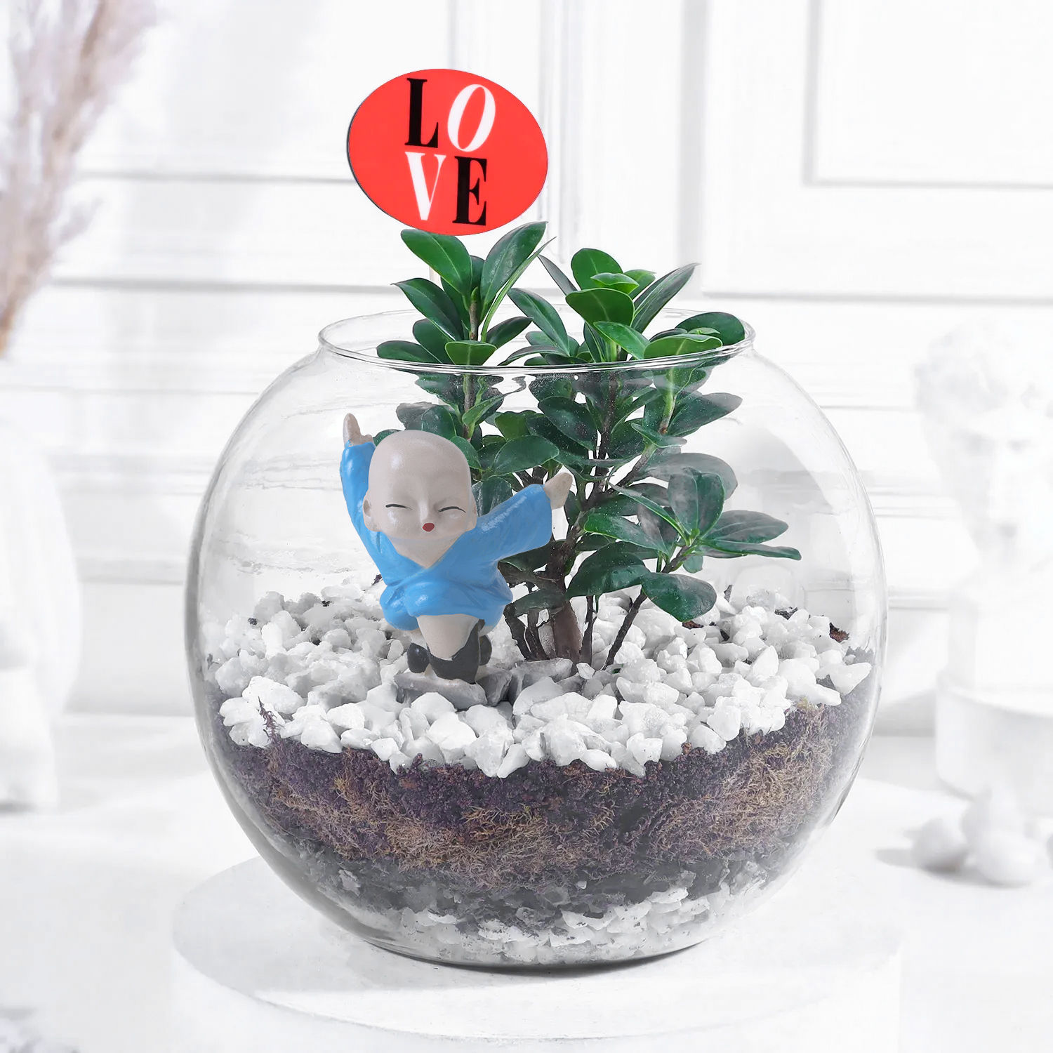 Buy/Send Love-Grown Bonsai Bliss Online- FNP